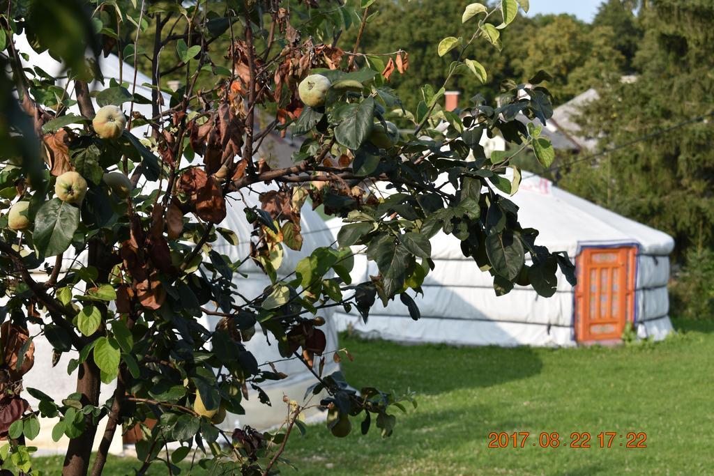 Bagolyvar Fogado- Ujfalusy Marton Vendeghaz Zirc Εξωτερικό φωτογραφία